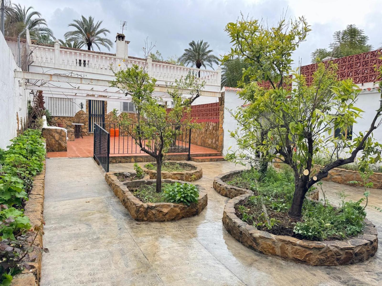 La Casa Del Senorito Villa Tous Eksteriør billede